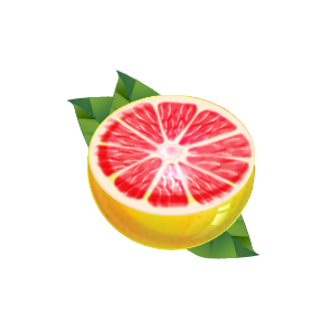 Grapefruit PNG-15257